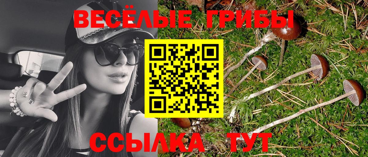 Псилоцибиновые грибы ЛСД  Галлюциногенные грибы Psilocybe  Конаково  Вход с VPN 