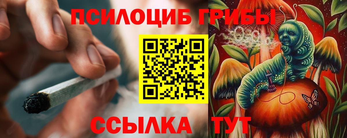 Псилоцибиновые грибы Psilocybe Конаково